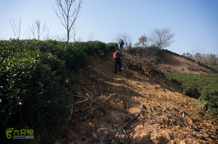 南湾湖，三基友，快乐行，64+2nanwanhu-99