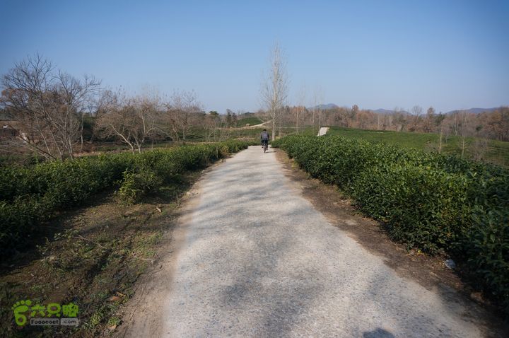 南湾湖，三基友，快乐行，64+2nanwanhu-100