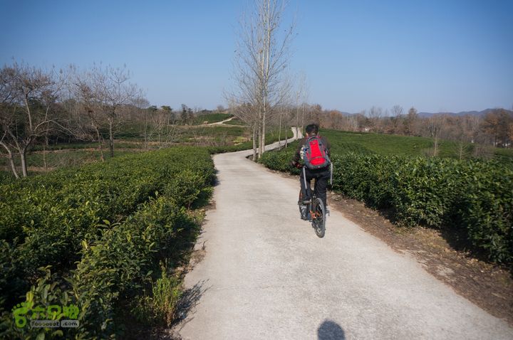 南湾湖，三基友，快乐行，64+2nanwanhu-101