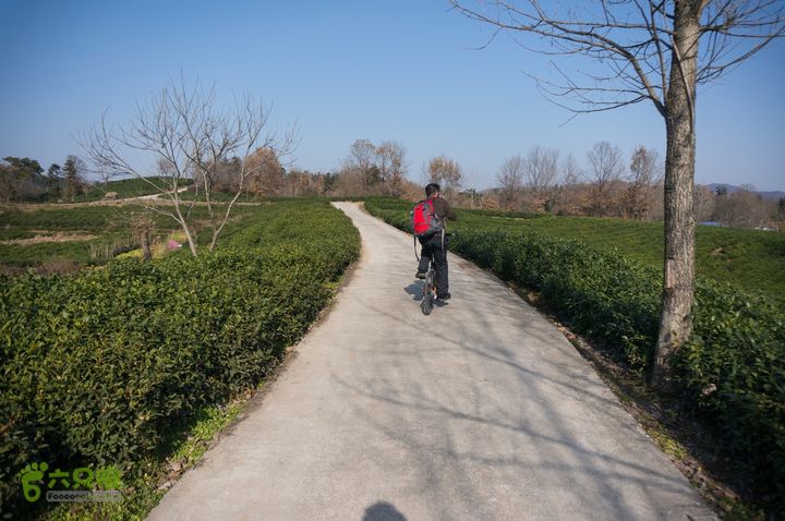 南湾湖，三基友，快乐行，64+2nanwanhu-102