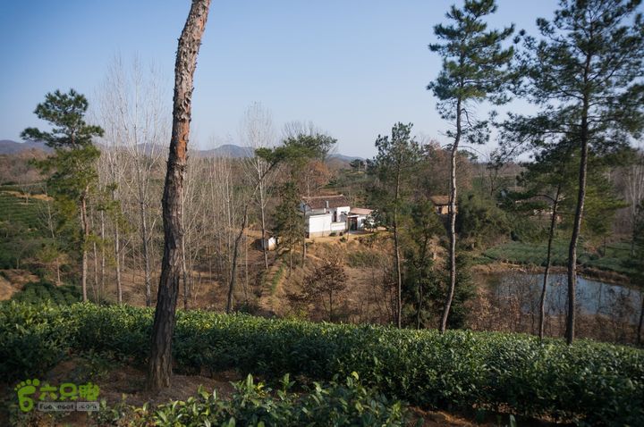 南湾湖，三基友，快乐行，64+2nanwanhu-113