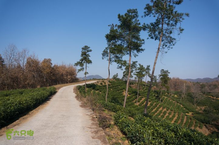 南湾湖，三基友，快乐行，64+2nanwanhu-116