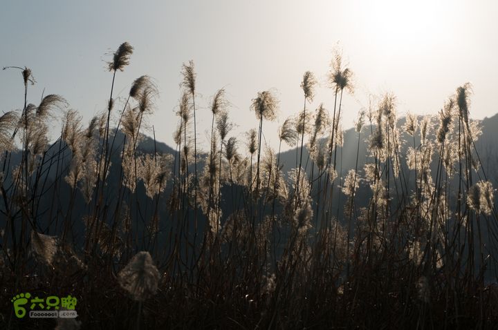 南湾湖，三基友，快乐行，64+2nanwanhu-121