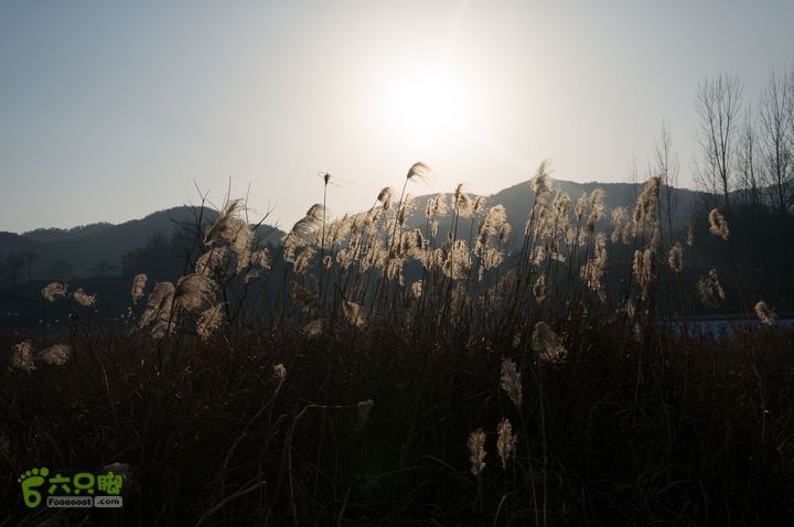 南湾湖，三基友，快乐行，64+2nanwanhu-122