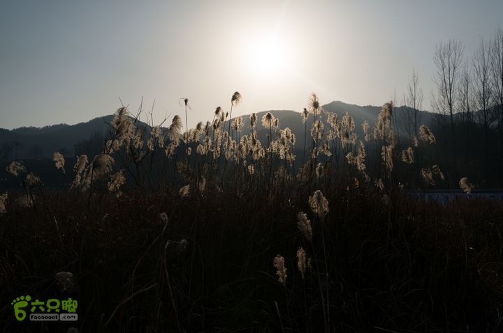 南湾湖，三基友，快乐行，64+2nanwanhu-123
