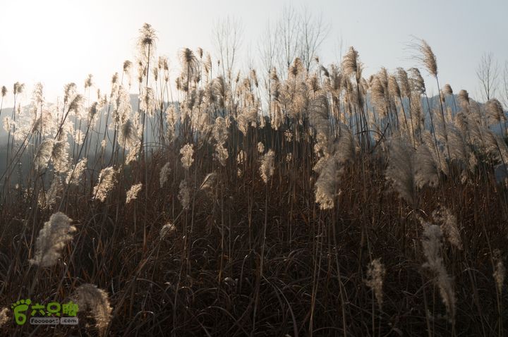 南湾湖，三基友，快乐行，64+2nanwanhu-124