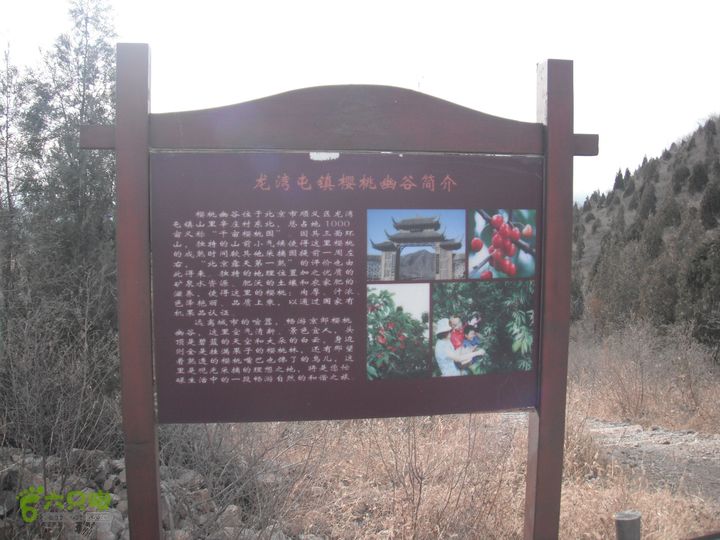 平谷前吉山-娘子水村-顺义山里辛庄村DSCF2958