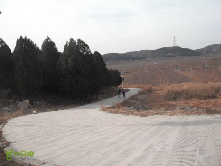 平谷前吉山-娘子水村-顺义山里辛庄村DSCF2968