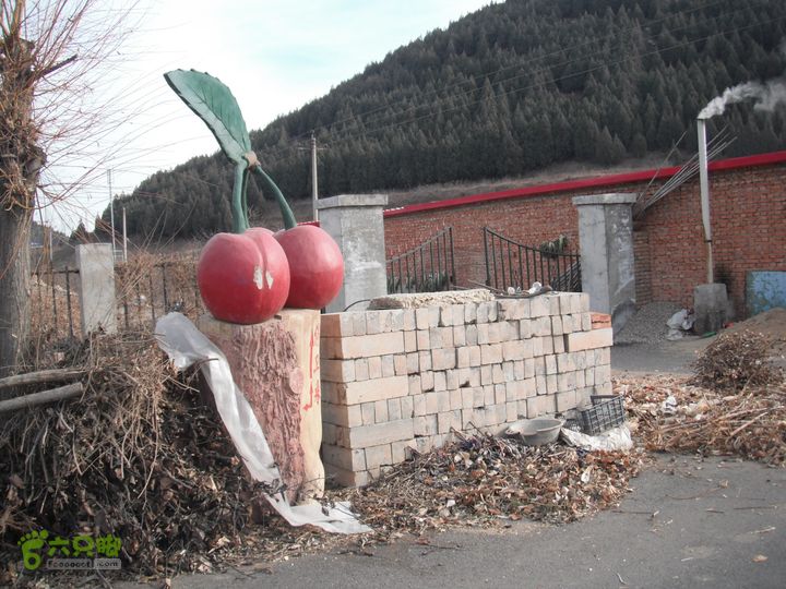 平谷前吉山-娘子水村-顺义山里辛庄村DSCF2974