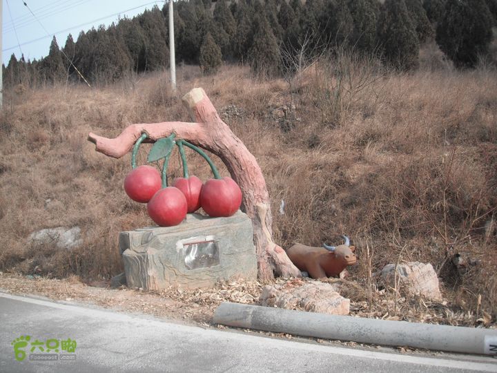 平谷前吉山-娘子水村-顺义山里辛庄村DSCF2977