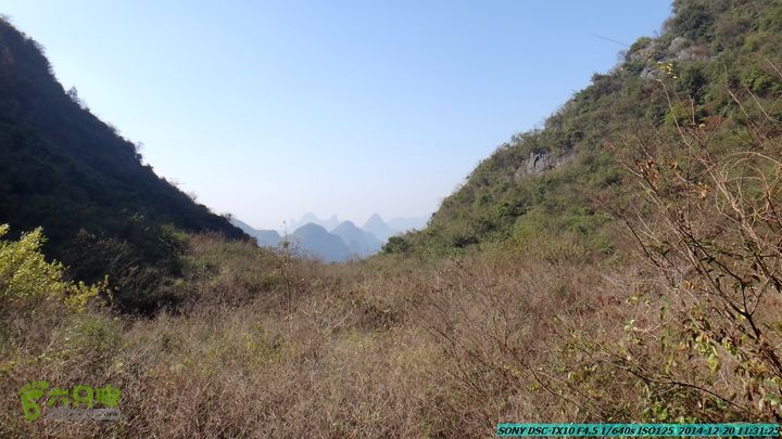 20141220-乌茅岭瑞云古道(神山古道)DSC04082