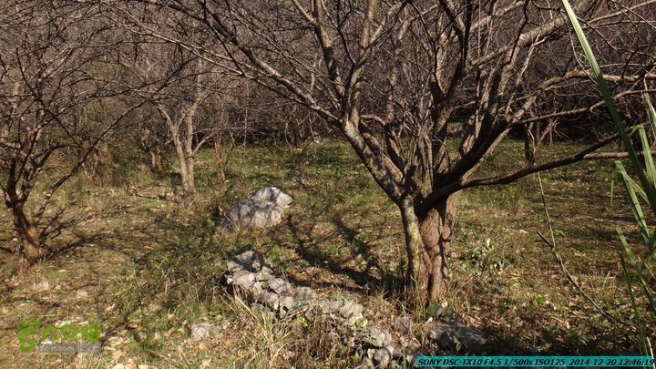 20141220-乌茅岭瑞云古道(神山古道)DSC04103