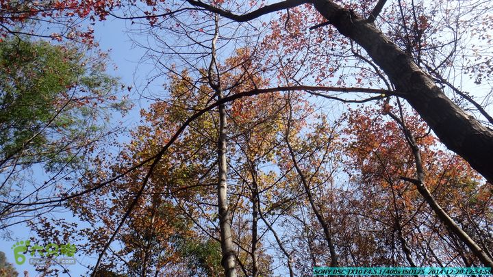 20141220-乌茅岭瑞云古道(神山古道)DSC04106