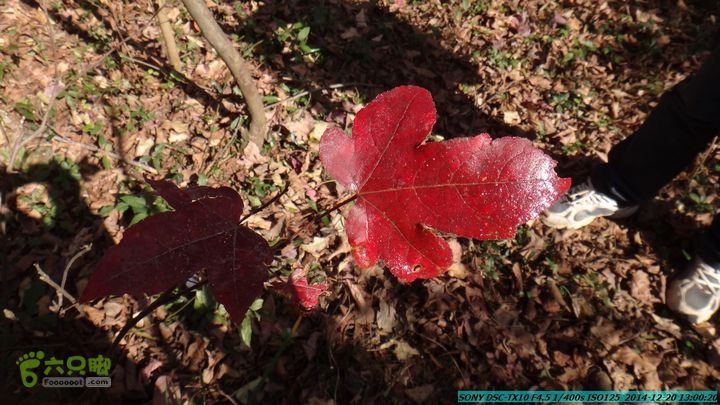 20141220-乌茅岭瑞云古道(神山古道)DSC04113