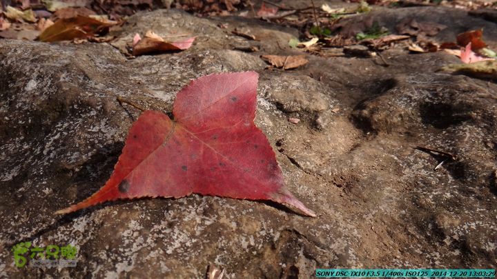 20141220-乌茅岭瑞云古道(神山古道)DSC04121