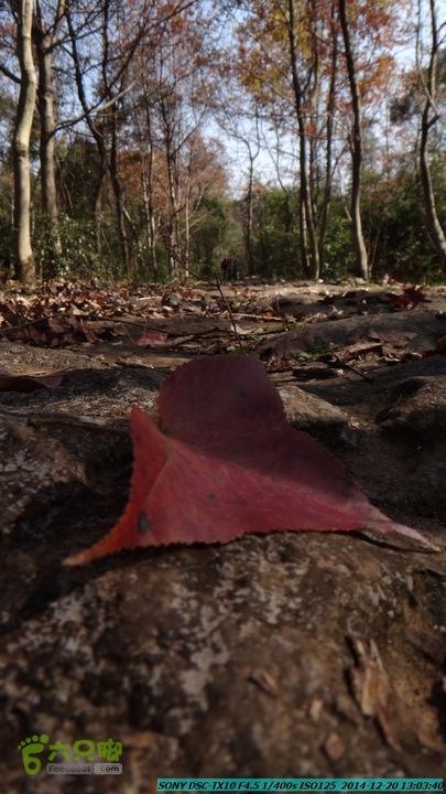 20141220-乌茅岭瑞云古道(神山古道)DSC04122