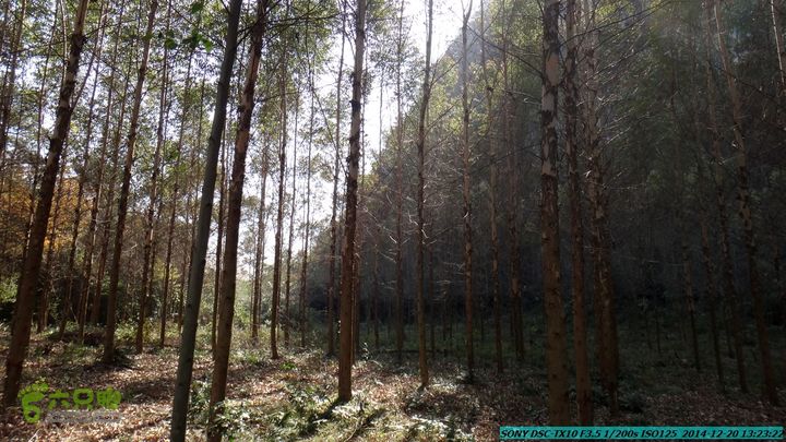20141220-乌茅岭瑞云古道(神山古道)DSC04126