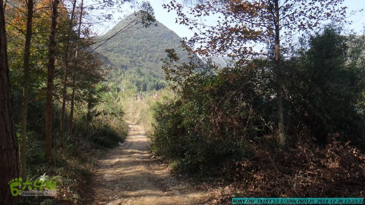 20141220-乌茅岭瑞云古道(神山古道)DSC04127