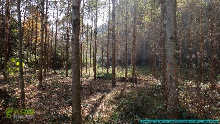 20141220-乌茅岭瑞云古道(神山古道)DSC04128