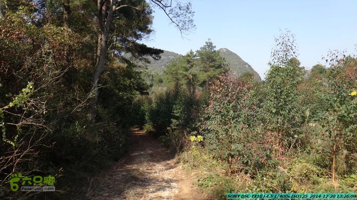 20141220-乌茅岭瑞云古道(神山古道)DSC04129