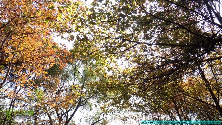 20141220-乌茅岭瑞云古道(神山古道)DSC04134