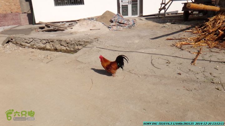 20141220-乌茅岭瑞云古道(神山古道)DSC04147