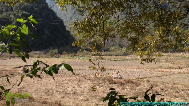 20141220-乌茅岭瑞云古道(神山古道)DSC04157