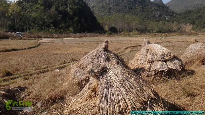 20141220-乌茅岭瑞云古道(神山古道)DSC04163