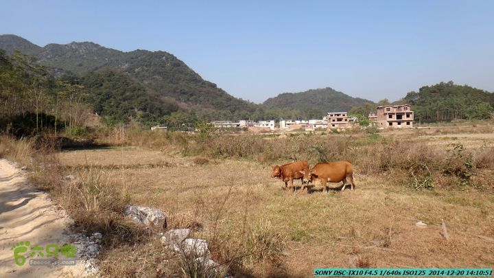 20141220-乌茅岭瑞云古道(神山古道)DSC04165