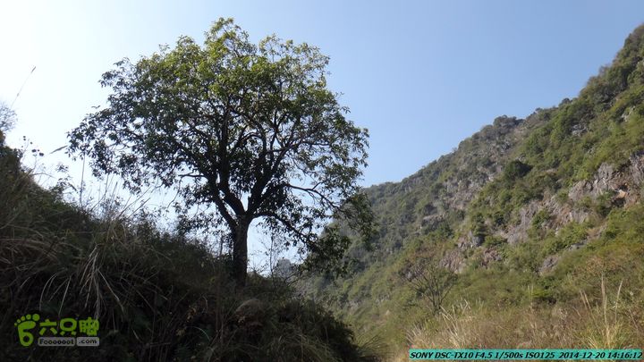 20141220-乌茅岭瑞云古道(神山古道)DSC04170