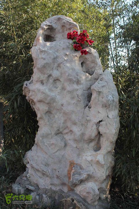 山东滕州滕国故城善山抗战纪念馆邹城上九山村一日游IMG_7250_眸目压缩