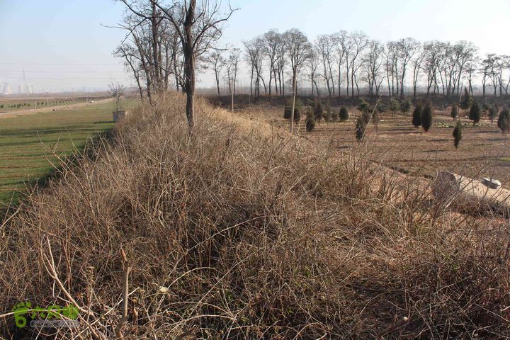 山东滕州滕国故城善山抗战纪念馆邹城上九山村一日游IMG_7257_眸目压缩