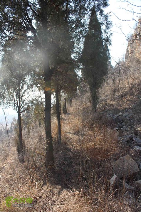 山东滕州滕国故城善山抗战纪念馆邹城上九山村一日游IMG_7269_眸目压缩