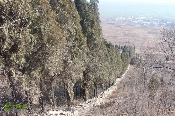山东滕州滕国故城善山抗战纪念馆邹城上九山村一日游IMG_7272_眸目压缩