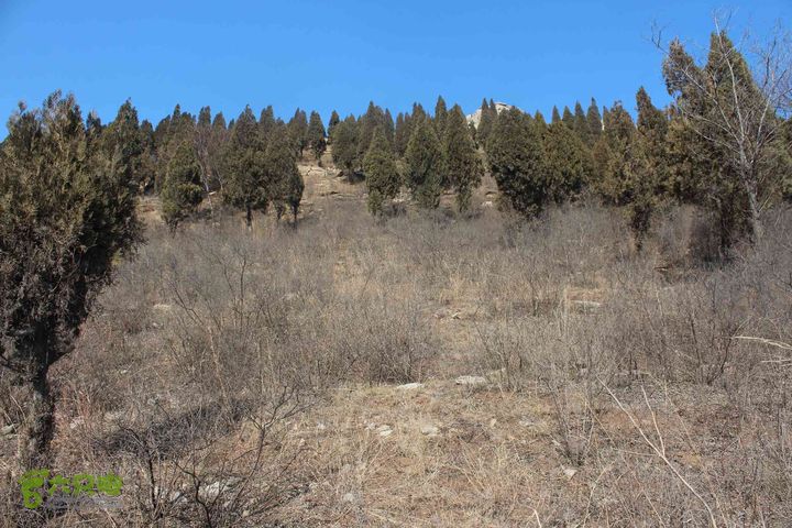 山东滕州滕国故城善山抗战纪念馆邹城上九山村一日游IMG_7283_眸目压缩