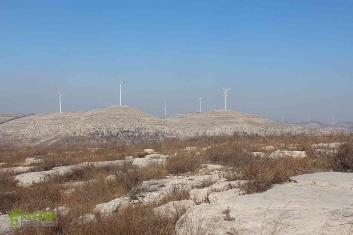 山东滕州滕国故城善山抗战纪念馆邹城上九山村一日游IMG_7290_眸目压缩