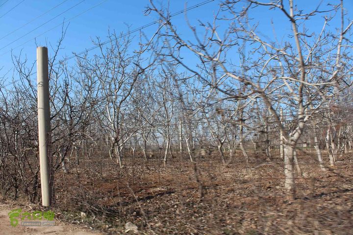 山东滕州滕国故城善山抗战纪念馆邹城上九山村一日游IMG_7316_眸目压缩