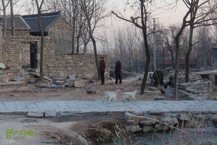 山东滕州滕国故城善山抗战纪念馆邹城上九山村一日游IMG_7409_眸目压缩