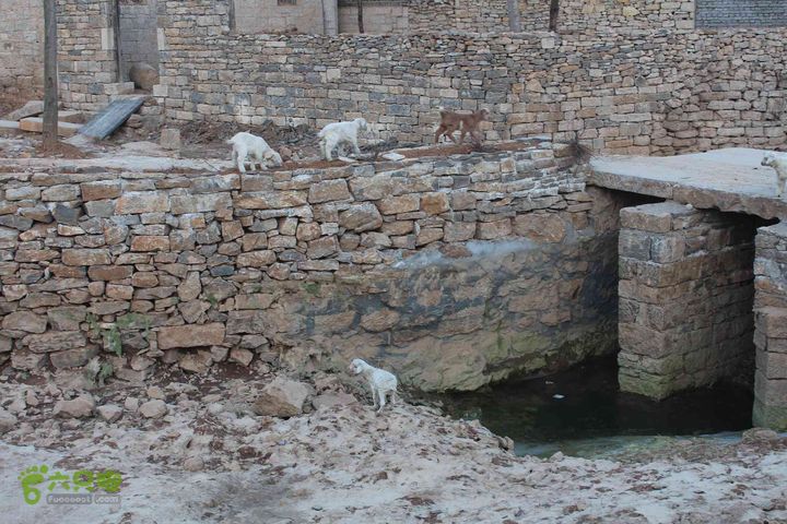 山东滕州滕国故城善山抗战纪念馆邹城上九山村一日游IMG_7414_眸目压缩