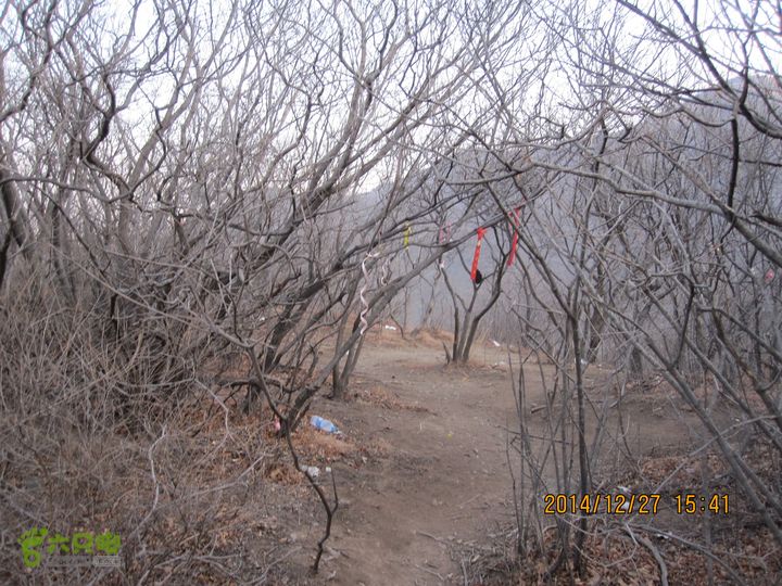 20141227付家台-刘公沟-髽鬏山-清水尖-十八潭山脊安家庄清水尖十八潭岔口平台