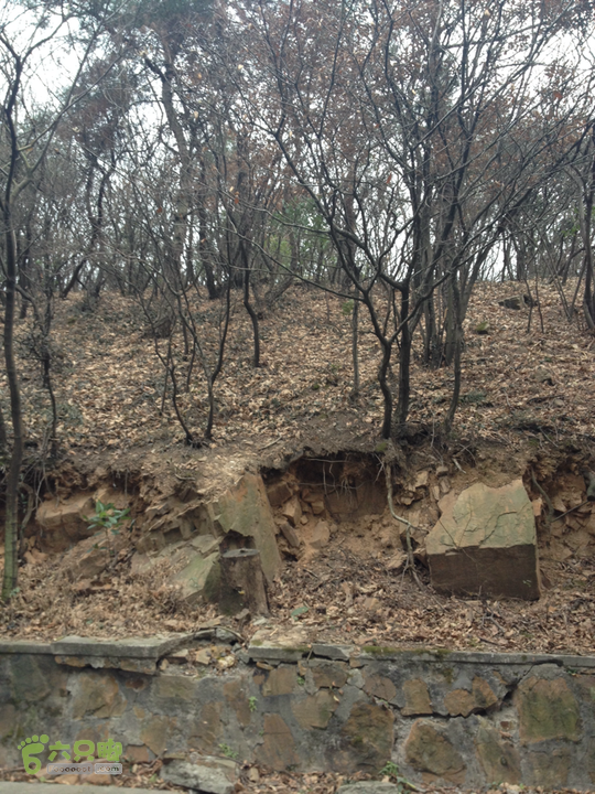 惠山森林公园钱荣入口上山2015-01-06 12:39:51