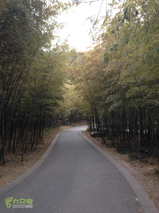 惠山森林公园钱荣入口上山2015-01-06 15:52:11