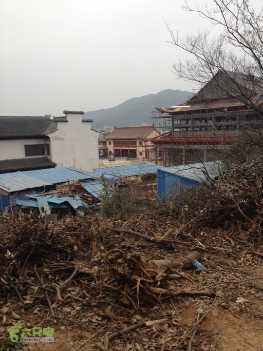 惠山森林公园钱荣入口上山2015-01-06 14:52:08