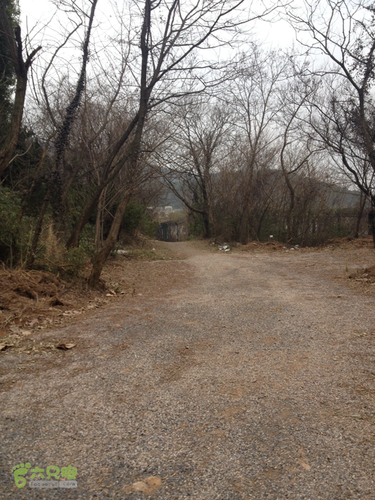 惠山森林公园钱荣入口上山2015-01-06 14:55:42