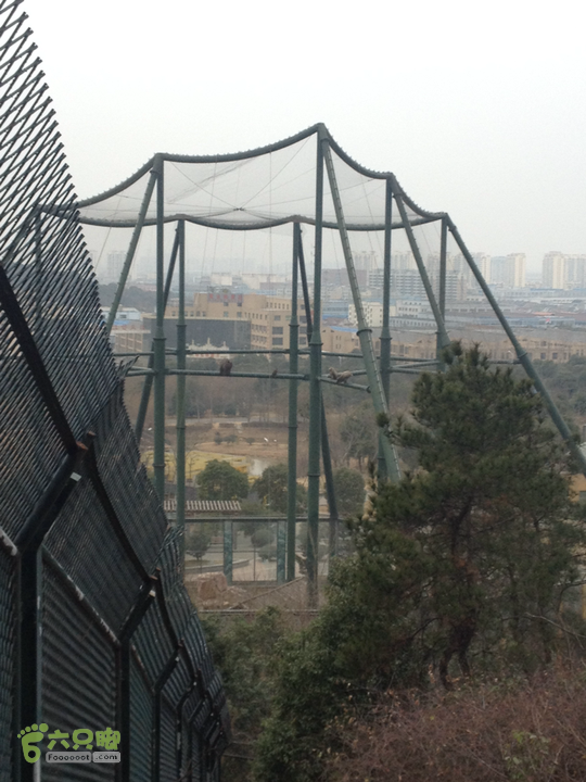 惠山森林公园钱荣入口上山2015-01-06 15:02:15