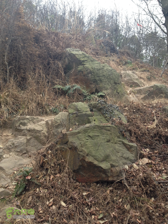 惠山森林公园钱荣入口上山2015-01-06 14:16:38