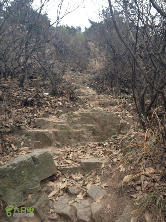 惠山森林公园钱荣入口上山2015-01-06 14:30:59