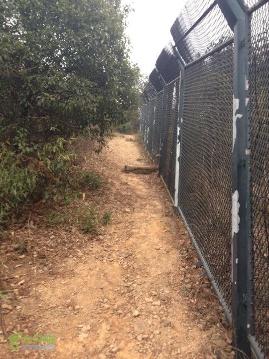 惠山森林公园钱荣入口上山2015-01-06 15:01:26