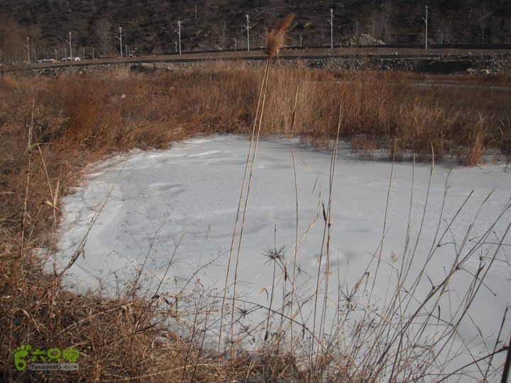 琉璃庙-四道沟-东峪村-青石岭探路DSCF3483