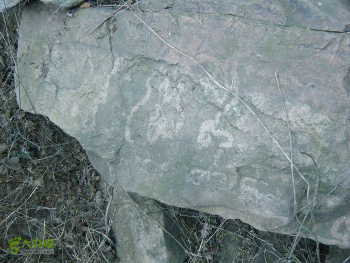 15.1.10峡沟水库阴河沟王硇DSCF0042